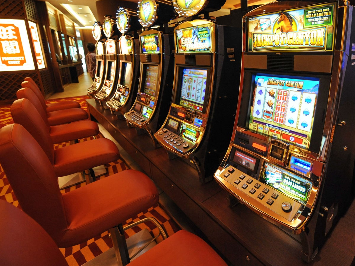 Videos of slot machine jackpot winners slot machine